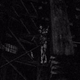 Illustration for article titled iFatal Frame II/i Is Still One Of The Scariest Games You Can Play
